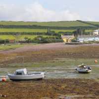 The Angle Bay Estuary | John Millen