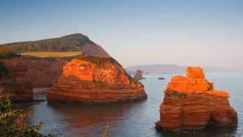 Sea Stacks at Ladram Bay, South West Coast Path