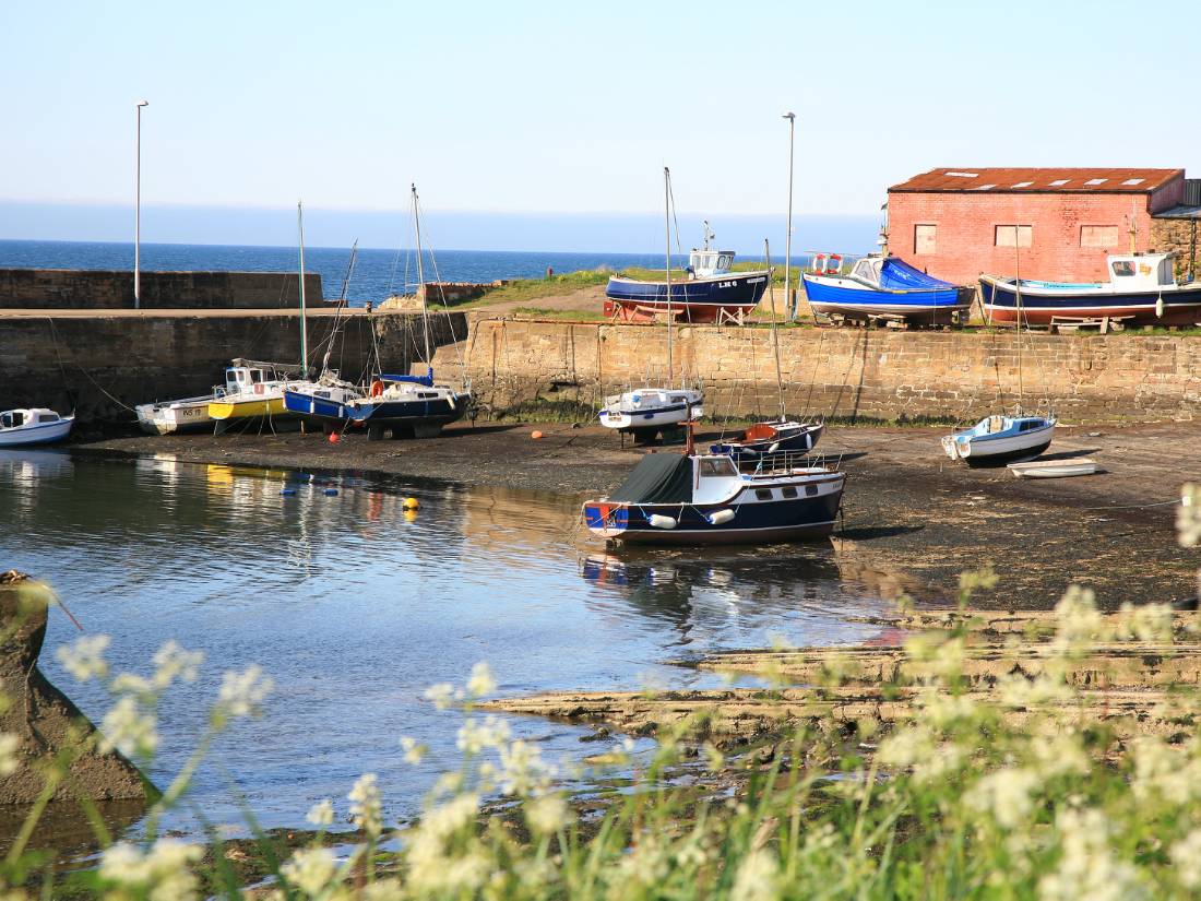 Cockenzie Harbour and boats |  <i>John Millen</i>