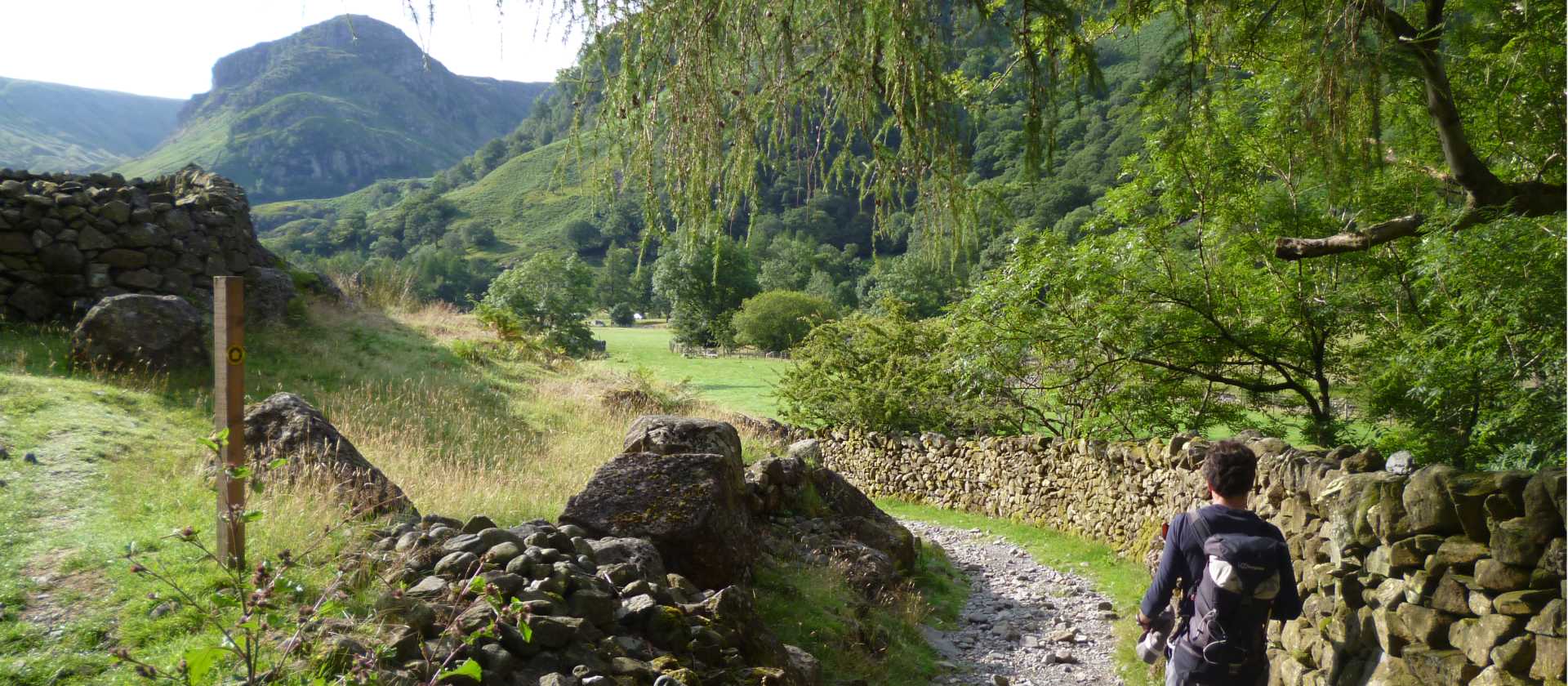 Walking past traditional dry stone walls | Jac Lofts