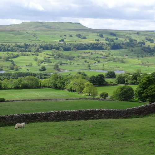 Landscape across Wensleydale