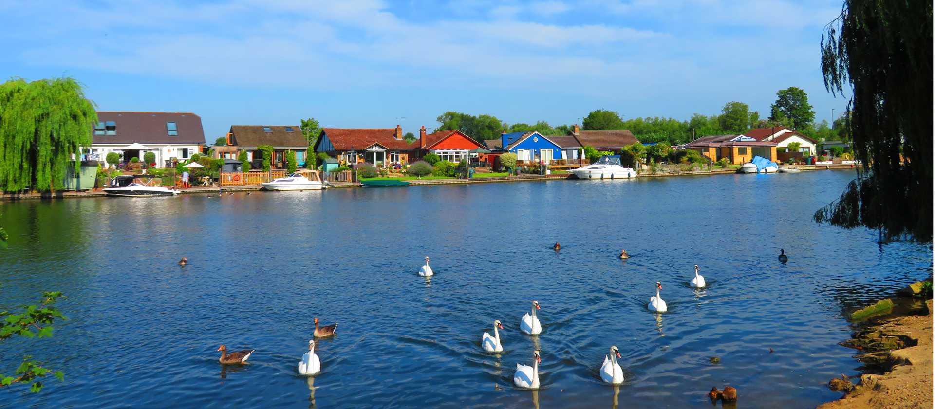 The Thames near Sunbury | John Millen