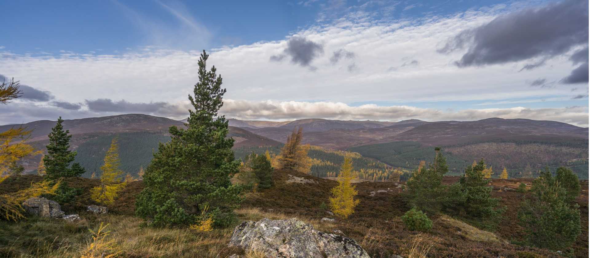 The Cairngorms National Park - Visit Scotland | Visit Scotland