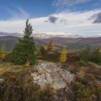 The Cairngorms National Park - Visit Scotland | Visit Scotland