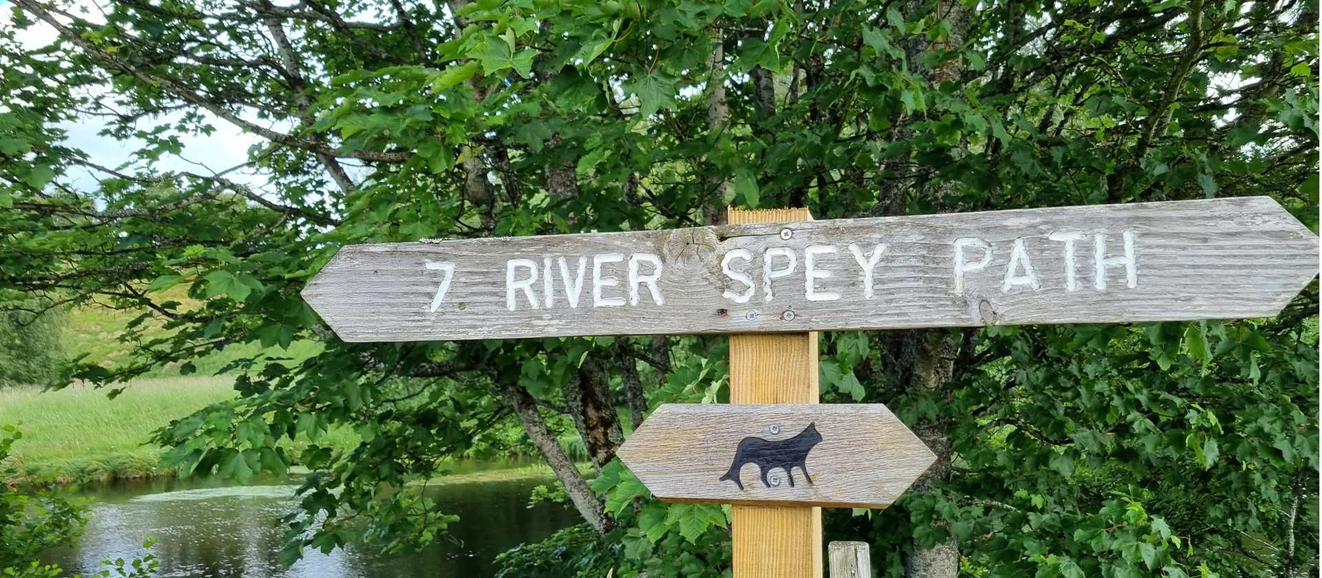 The Wildcat Trail - Speyside | Connie Evans