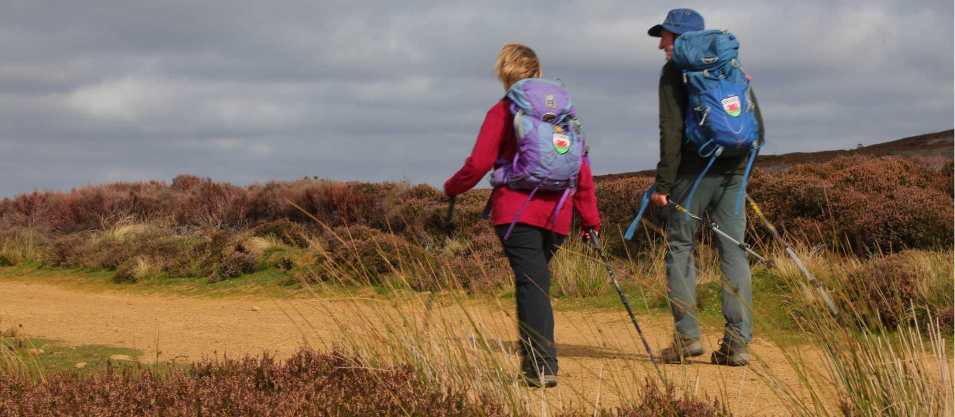 Walkers near Kildale | John Millen