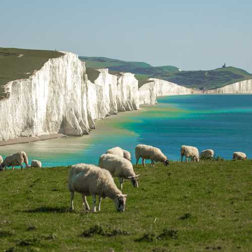 Meet the locals around the Seven Sisters in the south of England