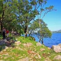 Walkers in the shady woods by Ennerdale Water | John Millen