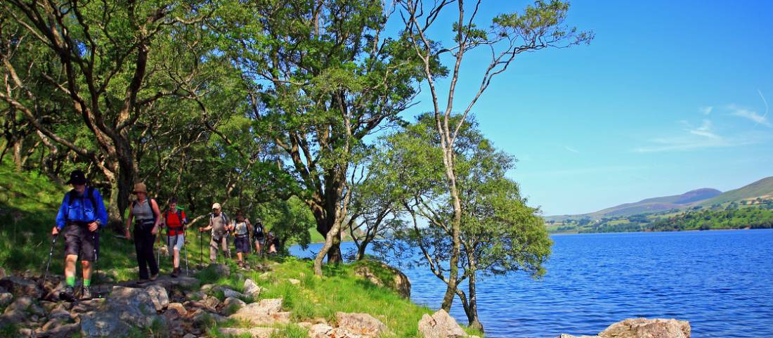 Walkers in the shady woods by Ennerdale Water |  <i>John Millen</i>