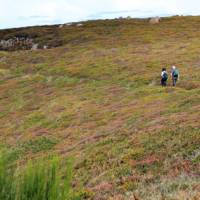 Walkers on the North Jersey Coast | John Millen