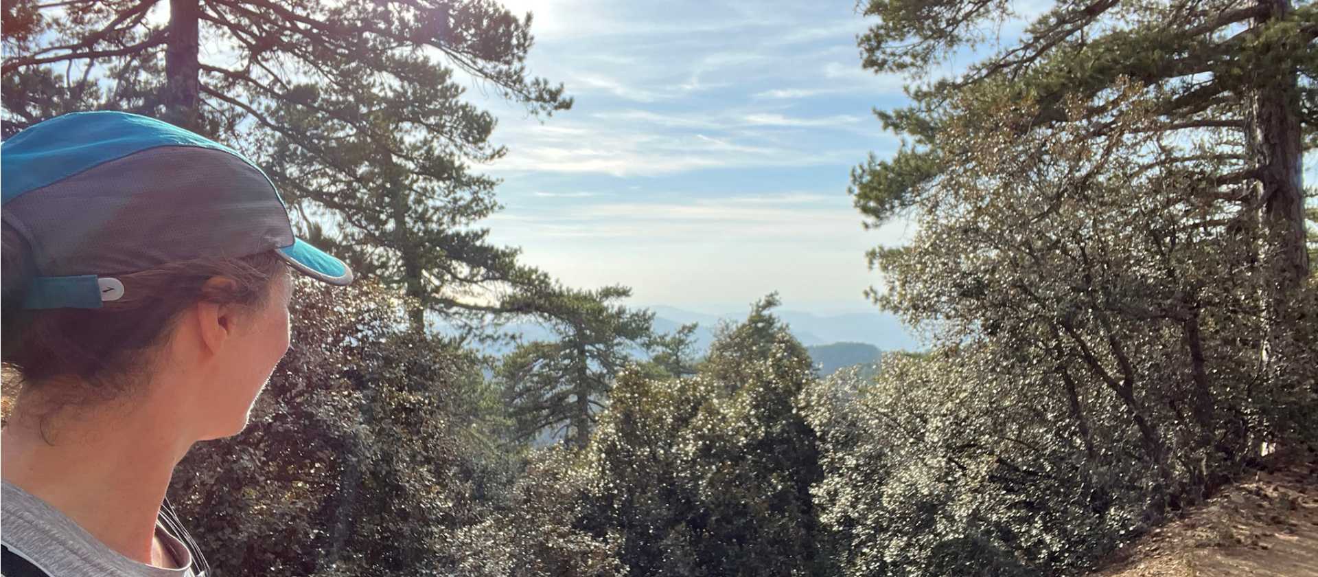 Hiking in the Troodos Mountains - The Artemis Trail | Fiona Marshall