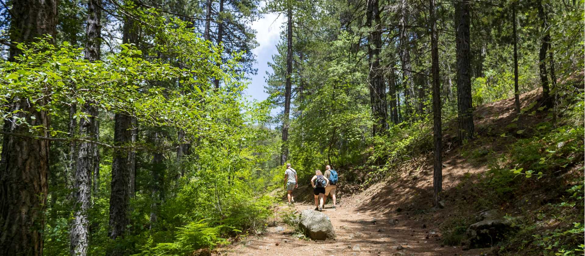 Hiking the Caledonia Nature Trail, Cyprus | Olga Dunchuk