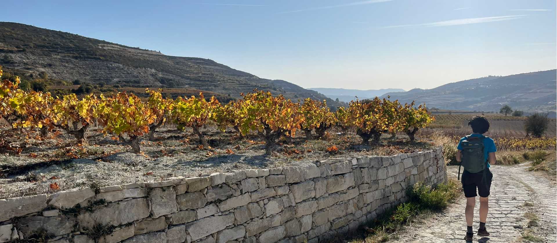 Hiking through the Omodos Vineyards | Fiona Marshall