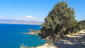 coastal path akamas cyprus,Antigoni Karakoulli Walk along coastal paths on Cyprus' Akamas Peninsula
