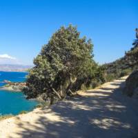 Walk along coastal paths on Cyprus' Akamas Peninsula | Antigoni Karakoulli