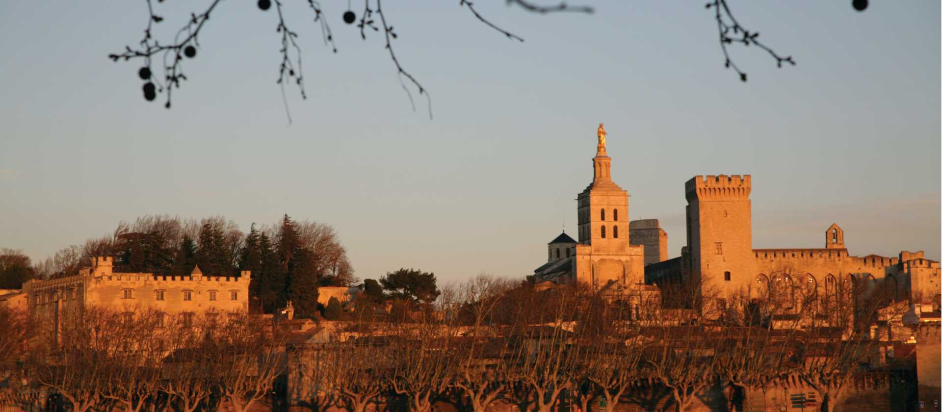 Avignon across the Rhone River