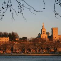 Avignon across the Rhone River