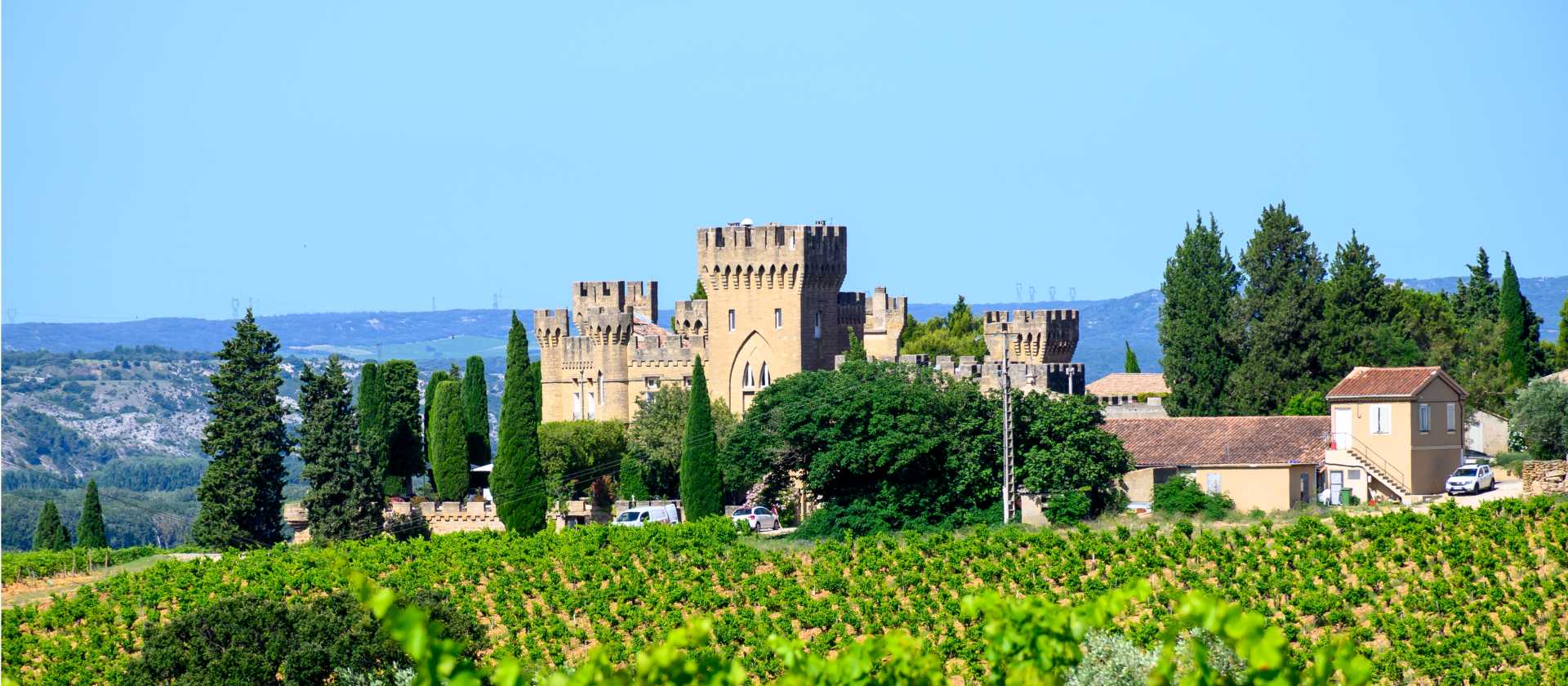 Vineyards of Chateauneuf du Pape appellation with grapes growing on soils with large rounded stones galets roules, lime stones, gravels, sand and clay, famous full body red wines, France | barmalini