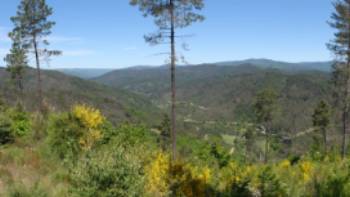 Chemin_de_Stevenson_-_panoramio_(15) _44° 08' 41.37? N, 3° 50' 07.2? E_ (c)lombiedezombie,lombiedezombie Walking the stunning trails of the Cevennes National Park