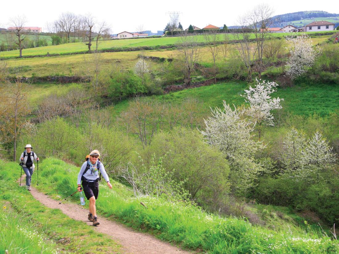 Near the Dalaizon Ravine