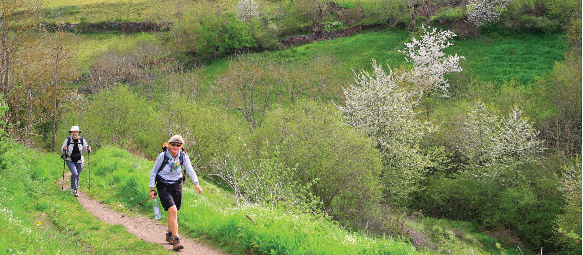 Near the Dalaizon Ravine