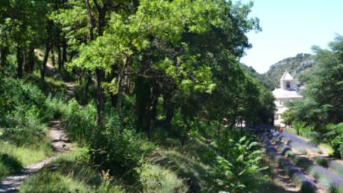 Approach Senanque Abbey on your winter hiking trip in Provence | Martin van Dalen