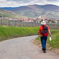 Hiking between the vineyards of Alsace | Charles Hawes