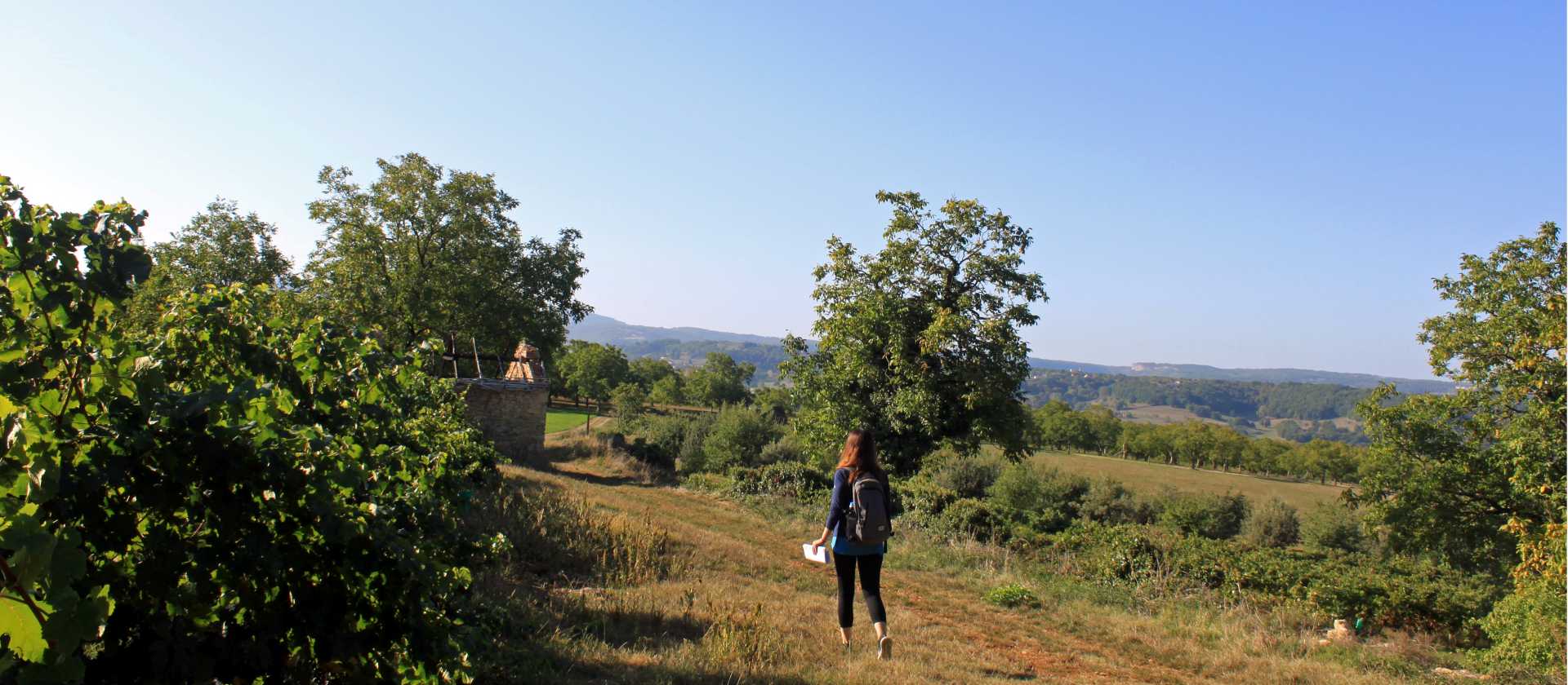 Walk through orchards of the Dordogne region in France | Nathalie Thomson