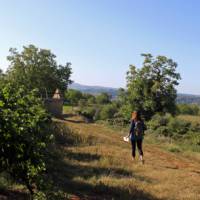 Walk through orchards of the Dordogne region in France | Nathalie Thomson