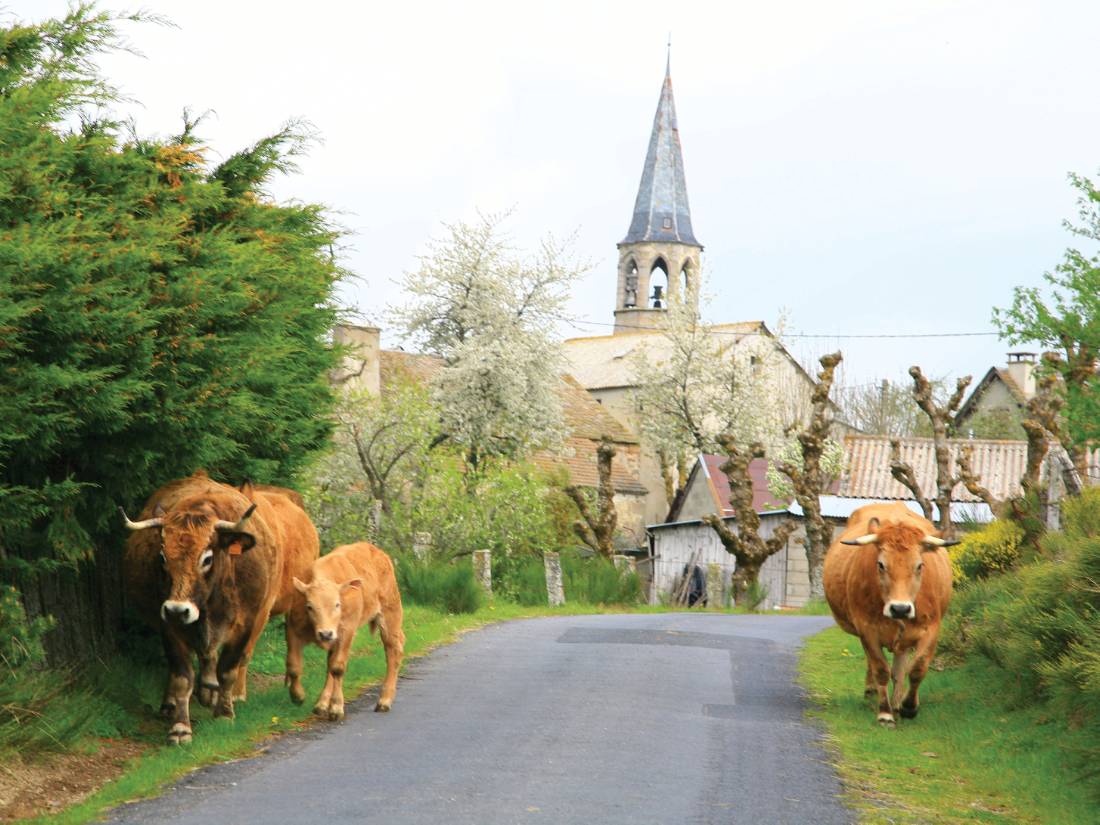 Rush hour in Le Chaze