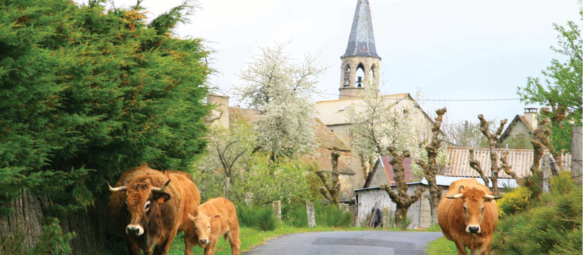 Rush hour in Le Chaze