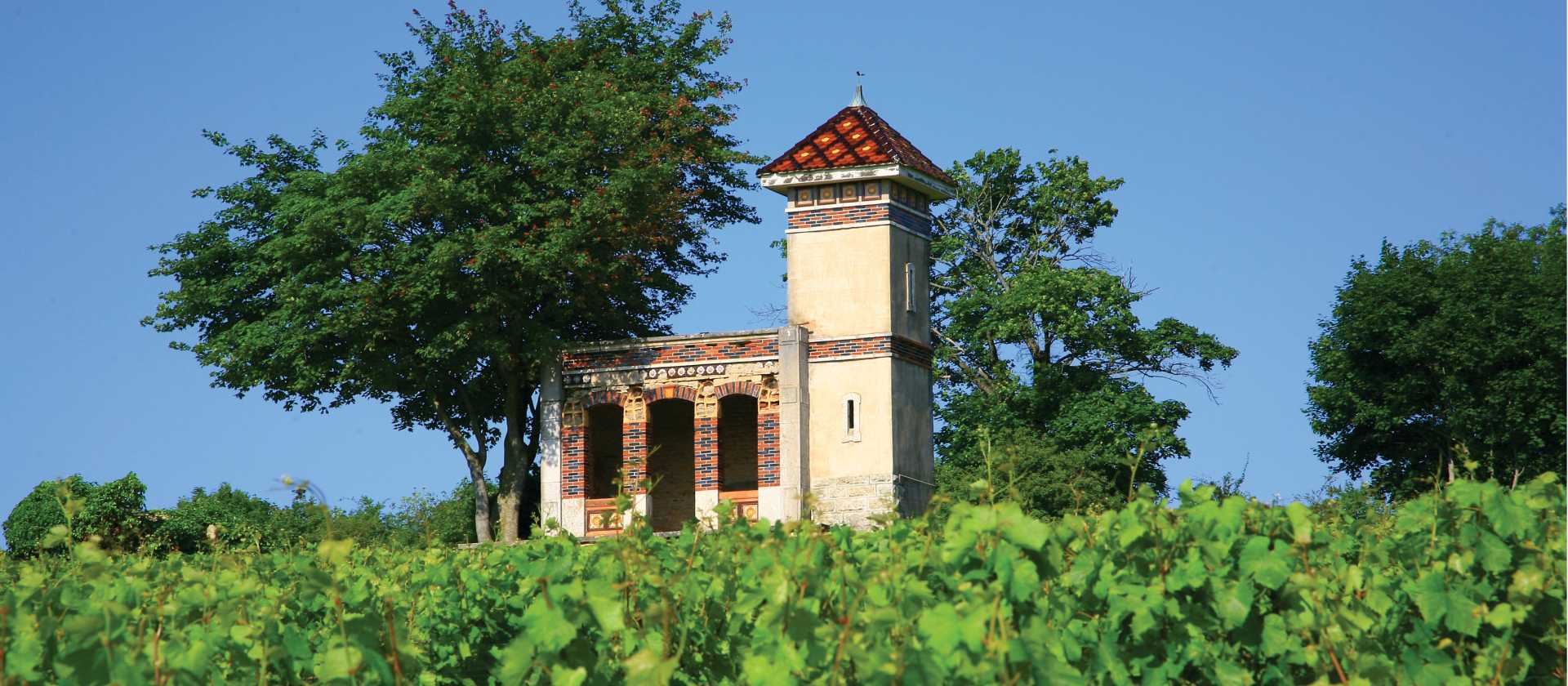 Vineyards above Meursault