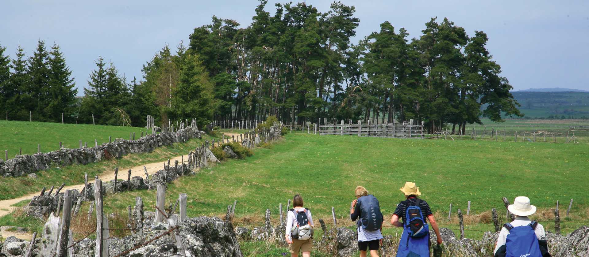 Walking towards Nasbinals
