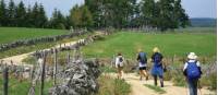 Walking towards Nasbinals