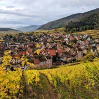 The 'Plus Belle' village of Riquewihr | Jon Millen