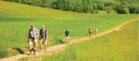 Walkers leaving Puycelci