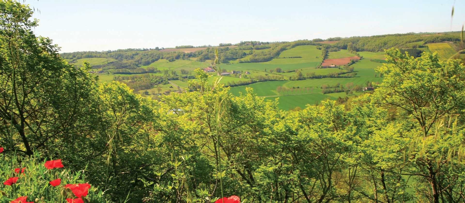 Poppies and views climbing La Combe, near La Vedillerie