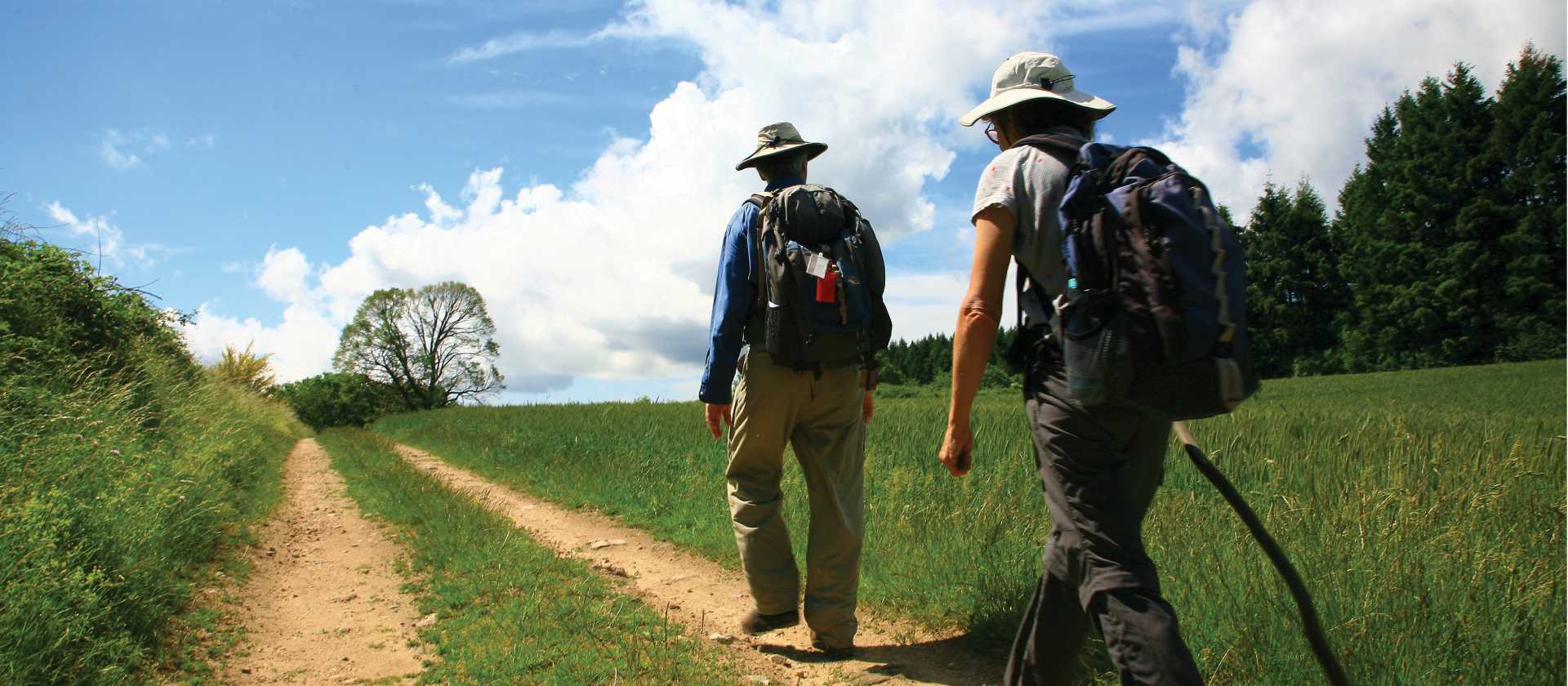 Walking Towards Lamastre