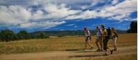 Crossing the Valensole Plateau