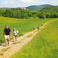 Walking Tarn France