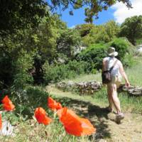 Walking in the Luberon region of French Provence