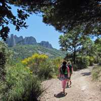 Walking the Dentelles de Montmirail, Provence