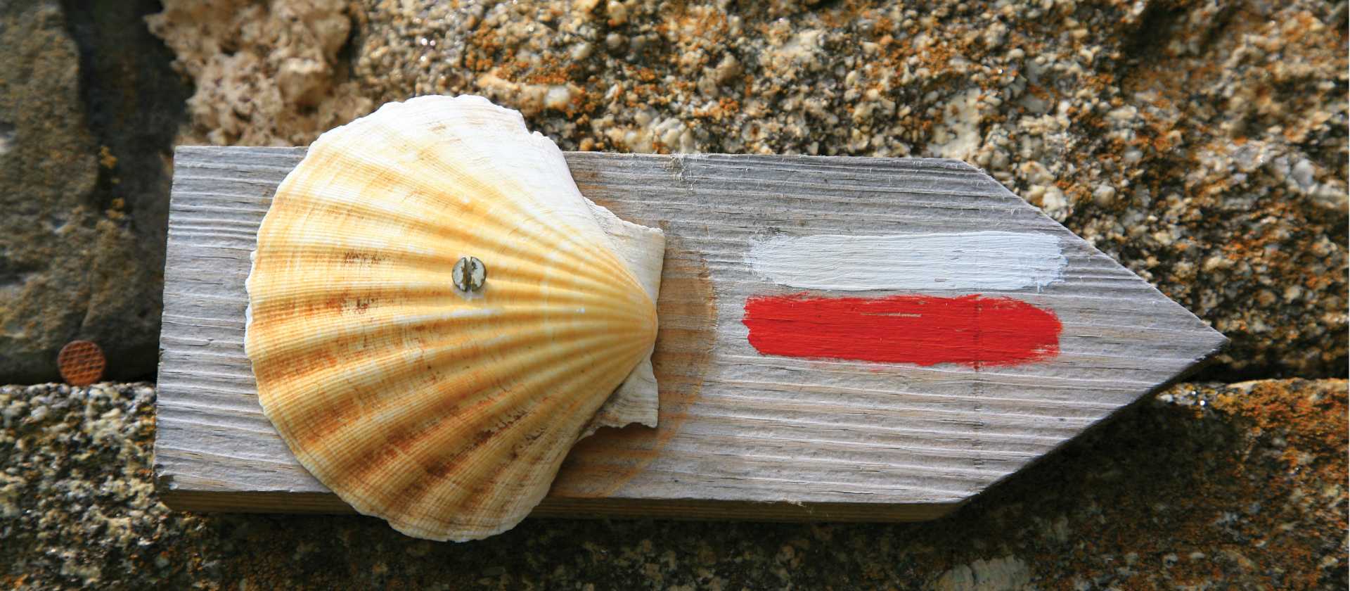 Way of St.James Way traditional Scallop waymark