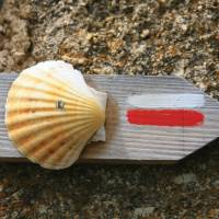 Way of St.James Way traditional Scallop waymark