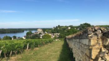 On the riverside path that takes us to the beautiful village of Montsoreau