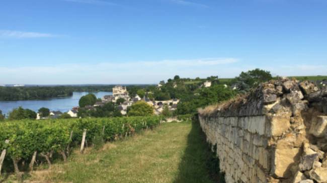 On the riverside path that takes us to the beautiful village of Montsoreau | John Millen