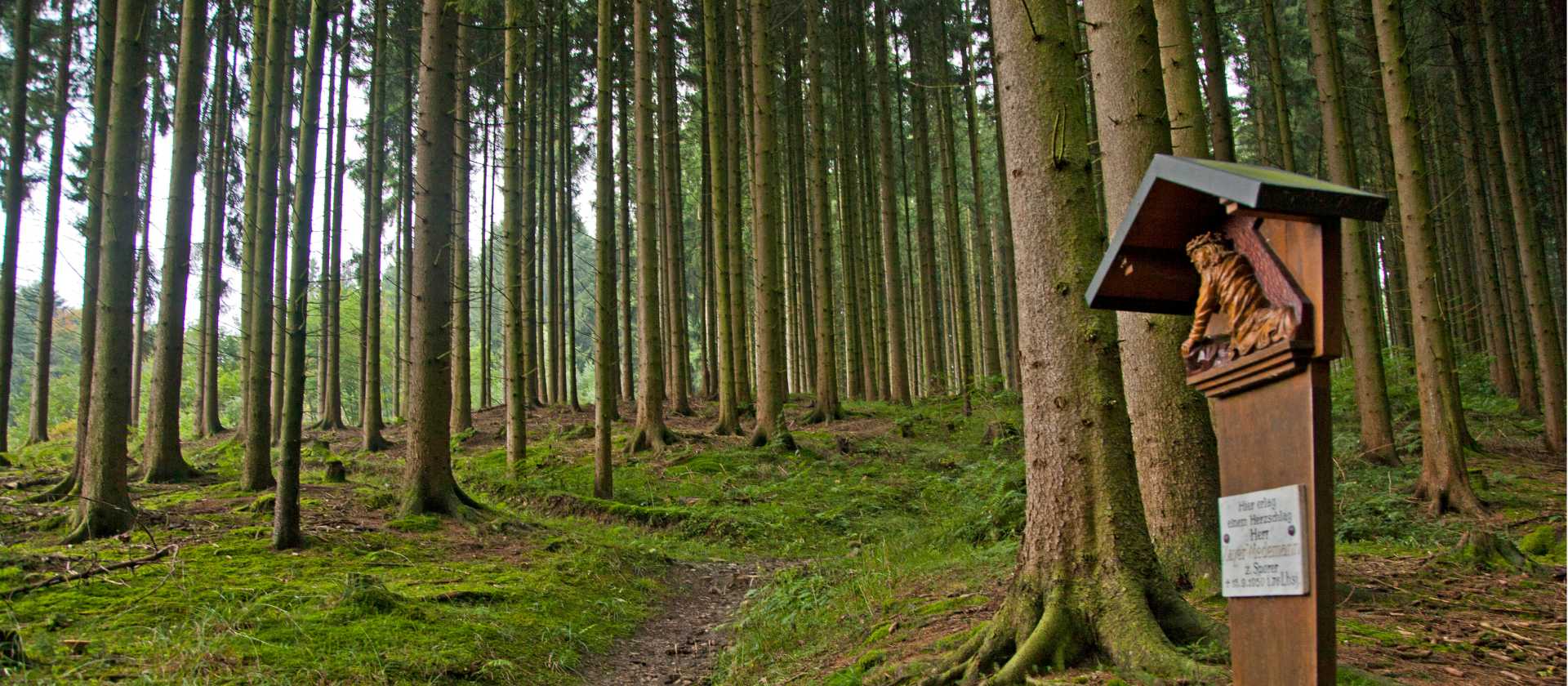 A shrine on the forest path | Will Copestake
