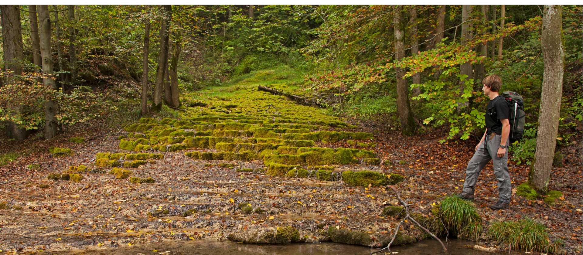 Limestone terrace covered in moss | Will Copestake