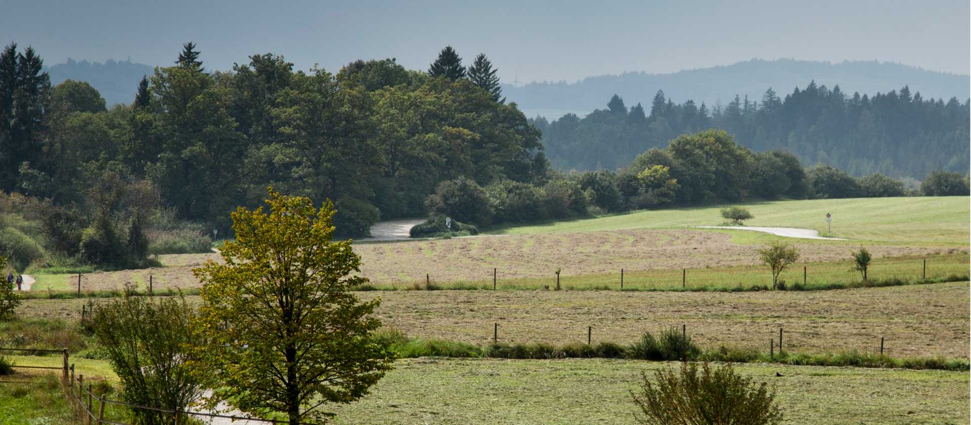 Walking through fields in Bavaria | Will Copestake