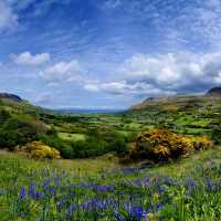 The beautiful Antrim Glens | Christopher Hill